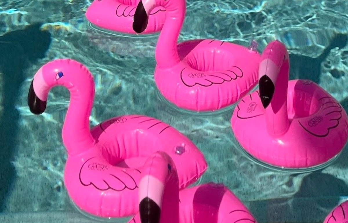 Follow the Flamingo Pool