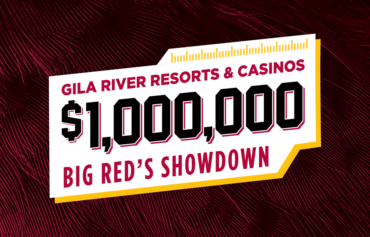 BetMGM to enter Arizona with Gila River casinos and NFL's Cardinals