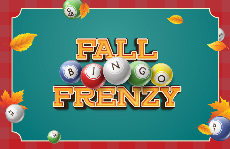 Wednesday, November 11 | 6:30PM bingo fall frenzy