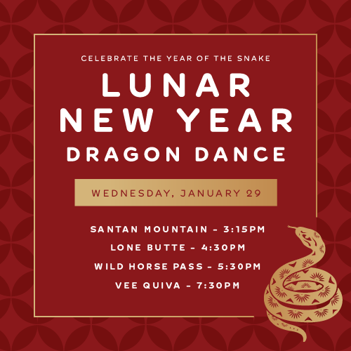 Lunar New Year Dragon Dance