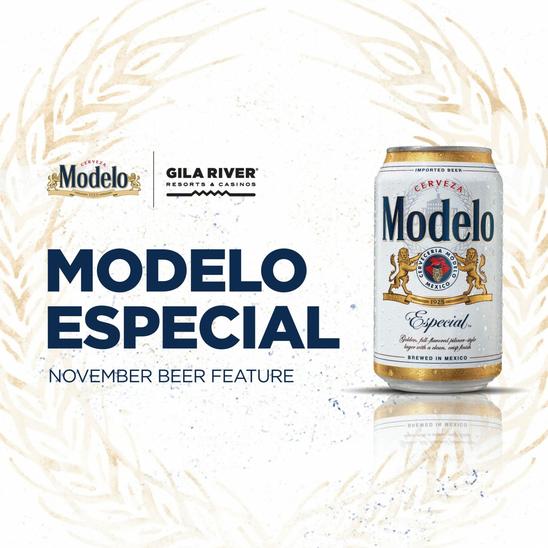 Modelo November Beer Feature
