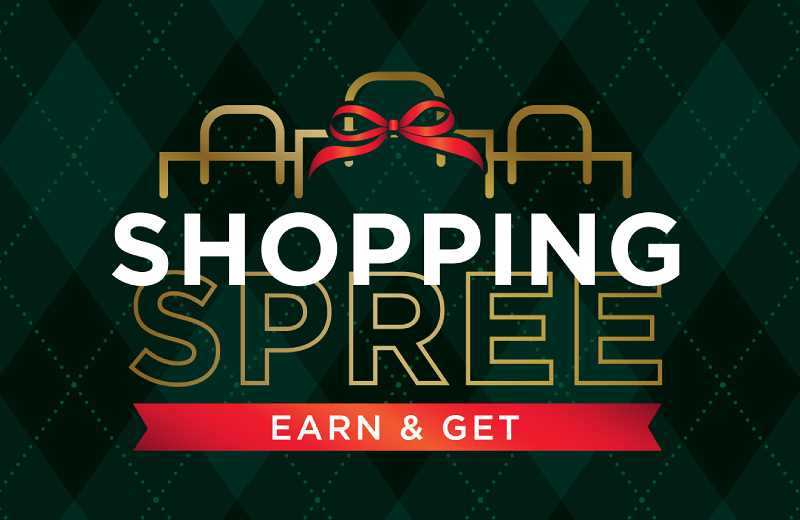 Earn in November. Shop December 11–12