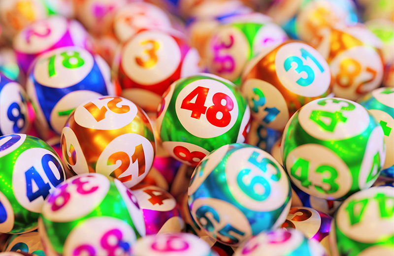 The Bingo Club