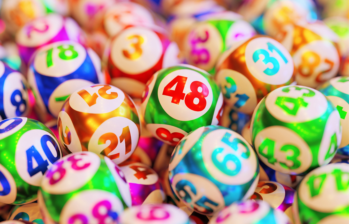 The Bingo Club